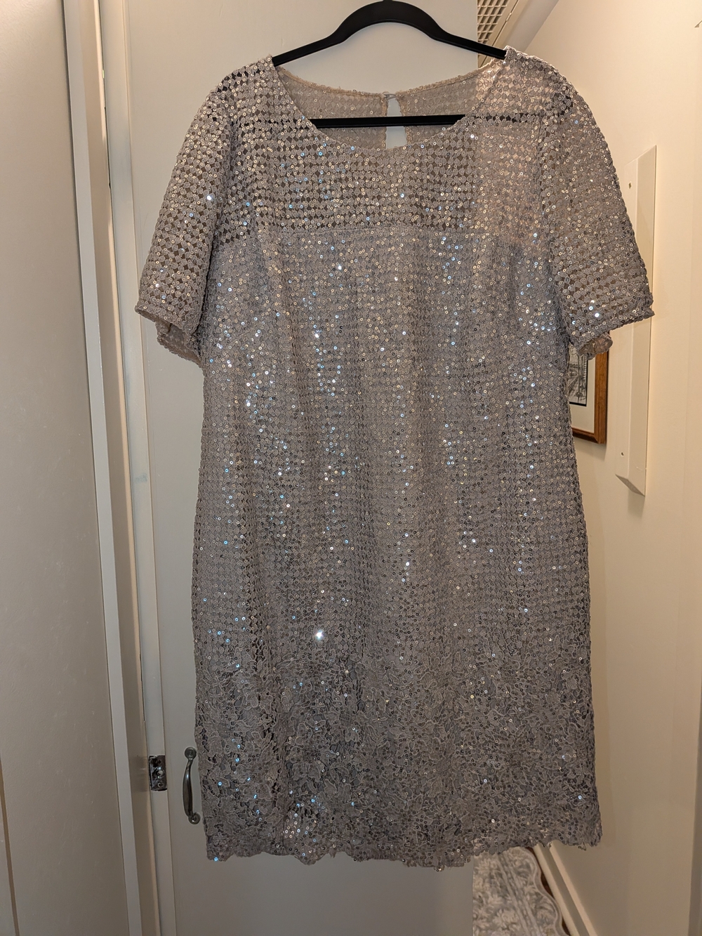 Kay Unger Silver Sequin Lace Midi Dress Size 20W